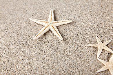 《城市：天际线2》老板为“如果你不喜欢模拟，这款游戏可能就不适合你”言论光速道歉